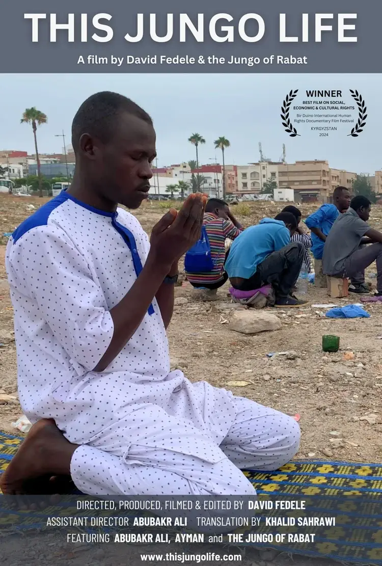 Affiche du film © David Fedele